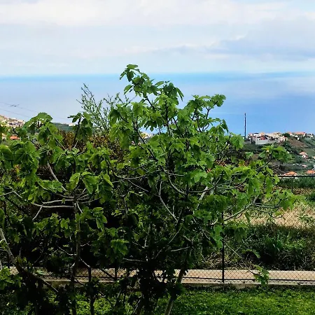 La Casa De La Abuela * Ponta do Sol (Madeira)