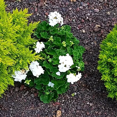 La Casa De La Abuela Дом отдыха *