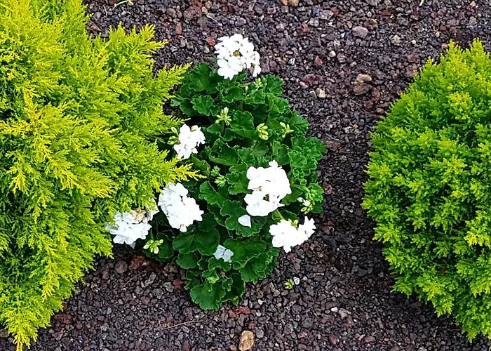 La Casa De La Abuela Vakantiehuis *